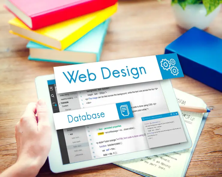 website designing in Chandigarh and Mohali